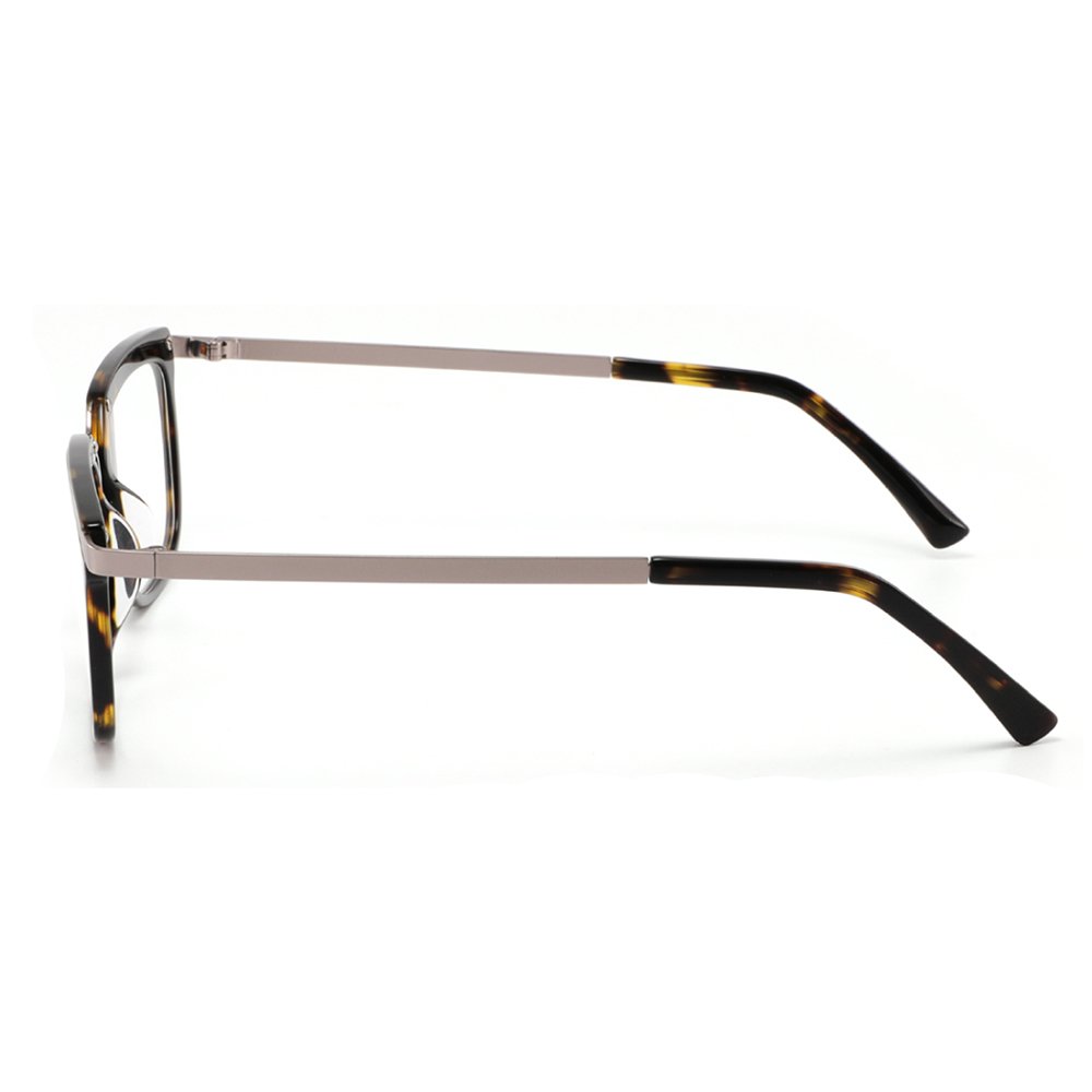 8682 optical frame detail